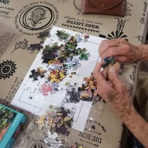 FB_IMG_1669714212412