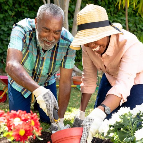 shutterstock_1732199602